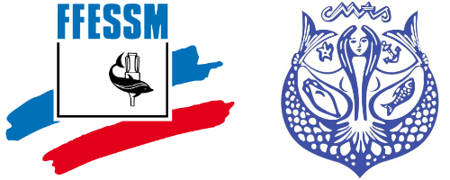 ffessm + cmas